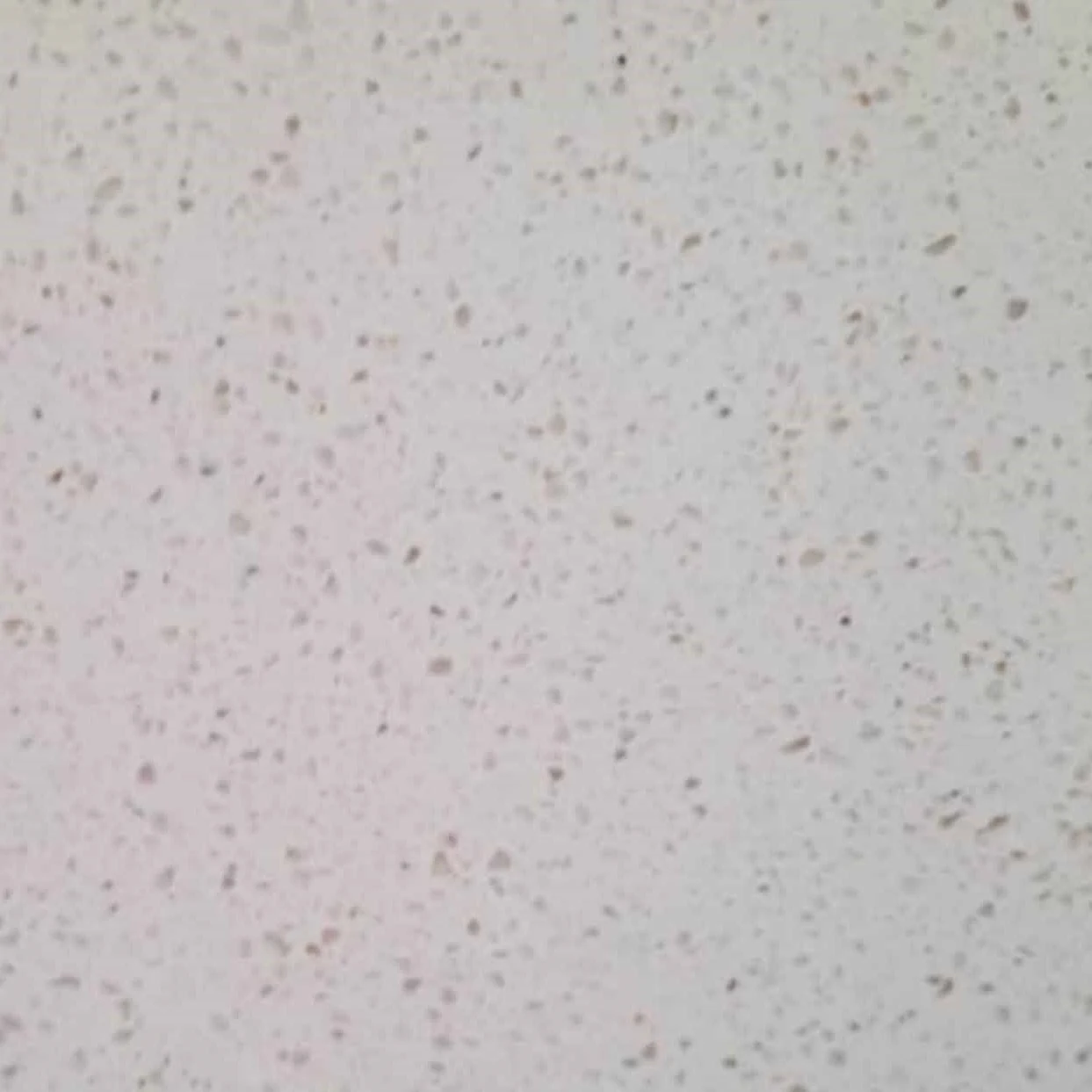 کوارتز کاینداستون کد 128 Sanded Cream (Glory