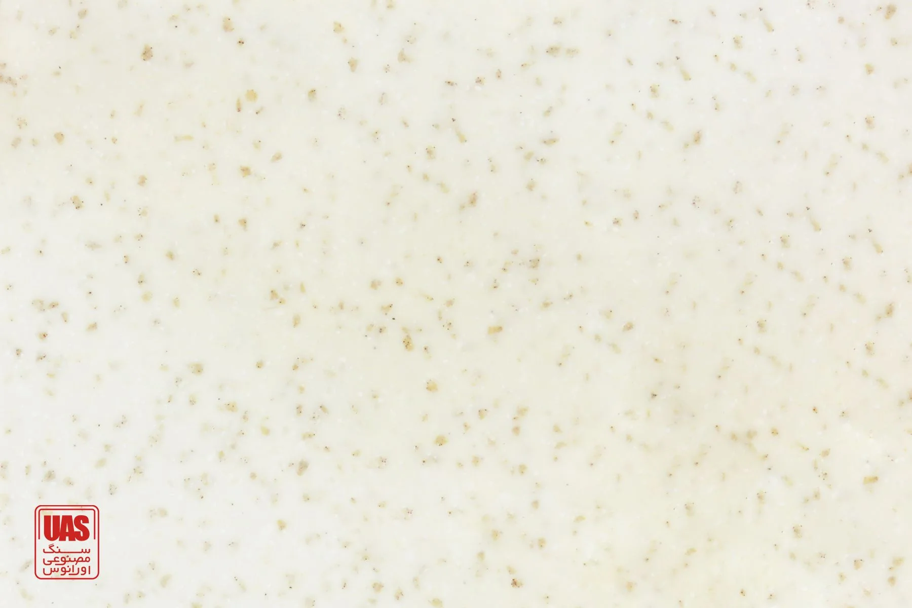 کورین اورانوس Oyster کد GR305