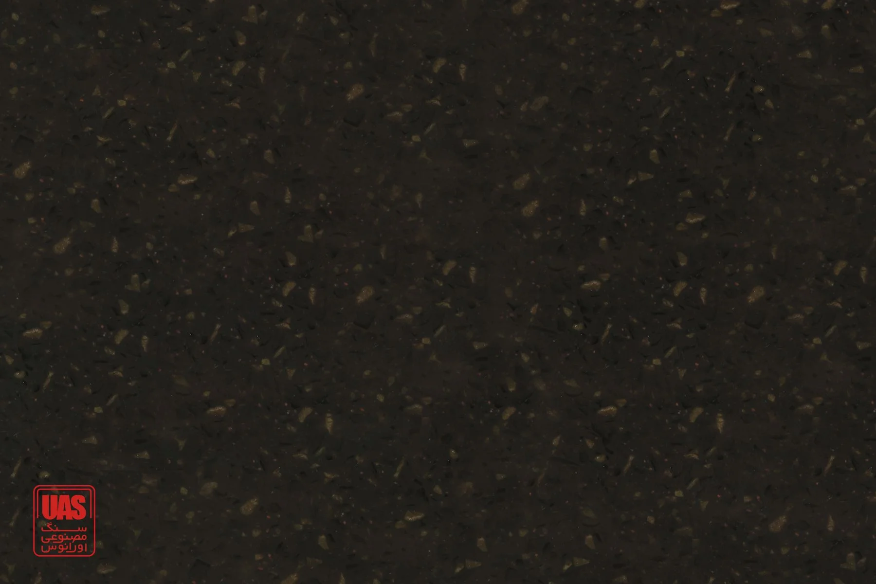 Coffee Bean GR402
